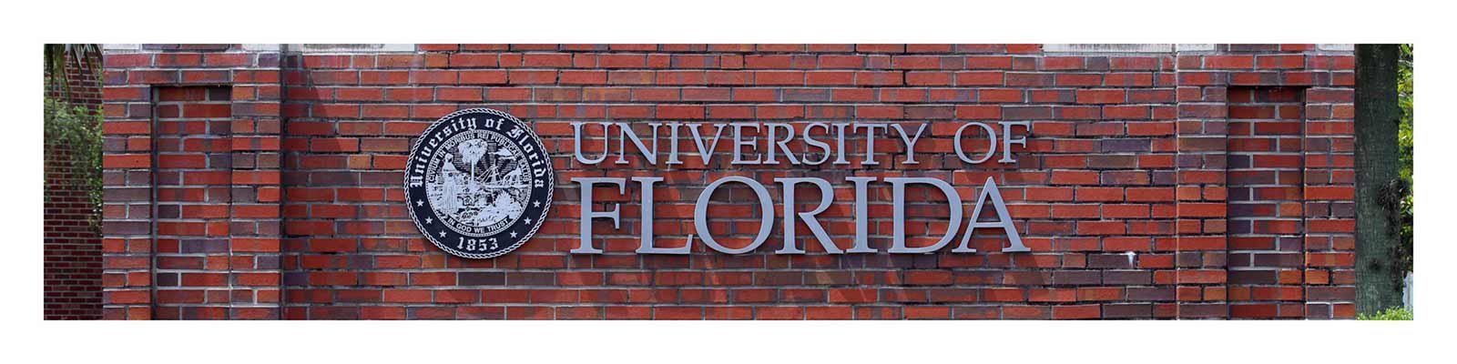 The University of Florida & The Role of University Expert Witnesses