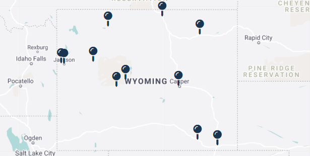 Our expert witnesses in Wyoming