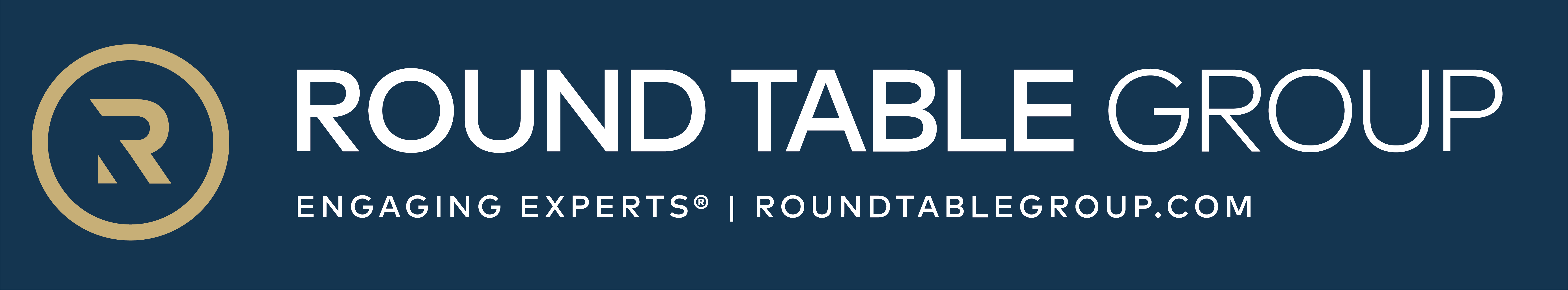 Round Table Group Expert Witness