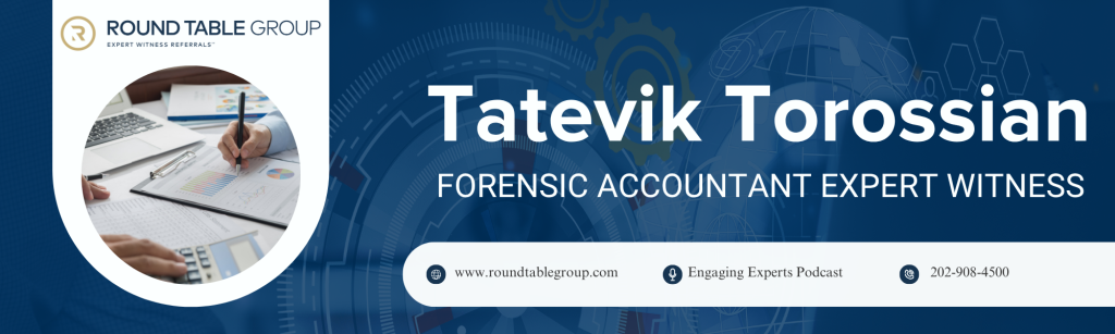 Forensic accounting concept